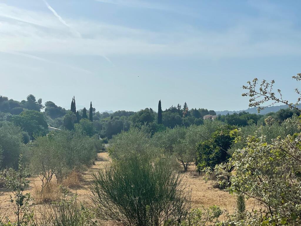 Земля на Корфу, Греция, 27 750 м² - фото 10