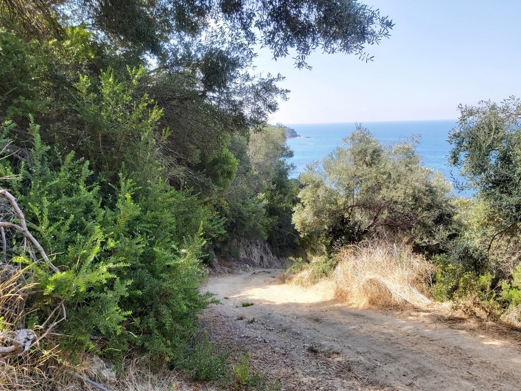 Земля на Корфу, Греция, 8 600 м² - фото 10