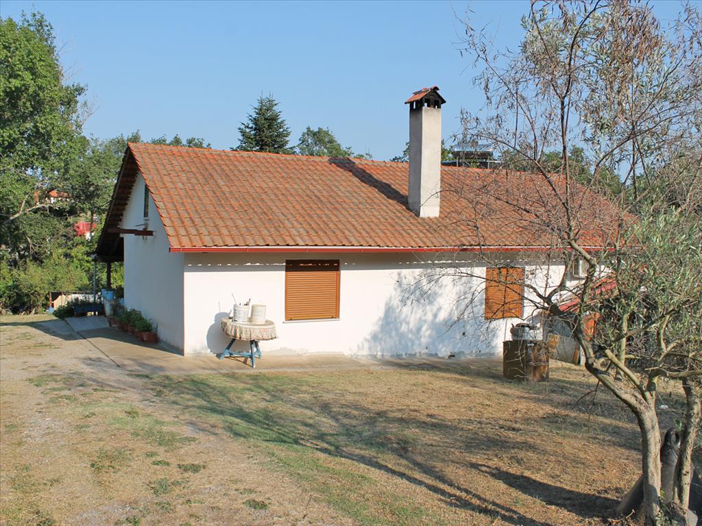 Дом в Олимпиаки-Акти, Греция, 70 м² - фото 10