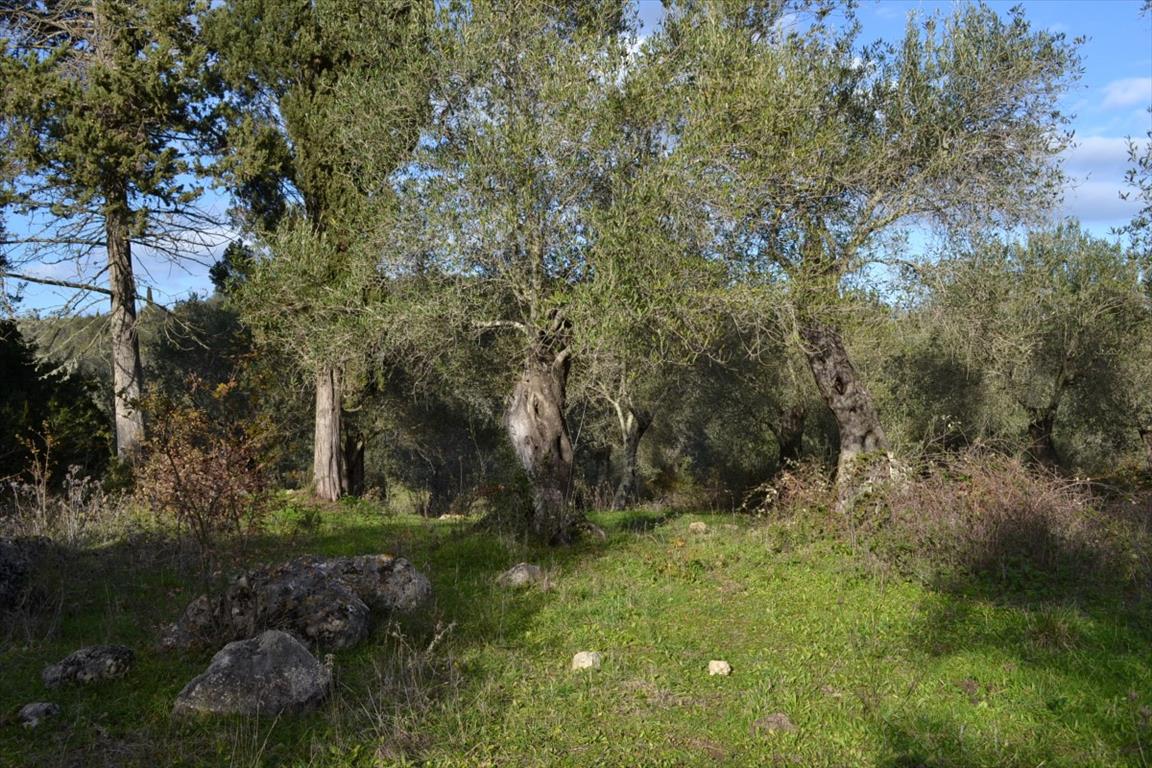 Земля на Корфу, Греция, 20 000 м² - фото 11