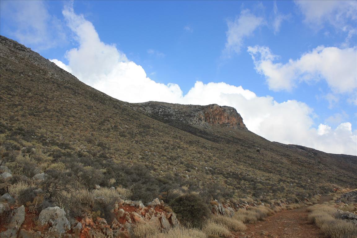 Земля в Ираклионе, Греция, 25 000 м² - фото 11