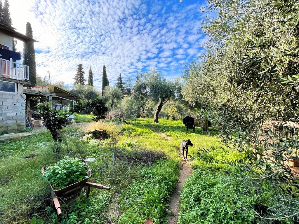 Дом на Корфу, Греция, 190 м² - фото 11