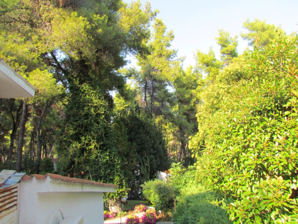 Дом на Кассандре, Греция, 105 м² - фото 11