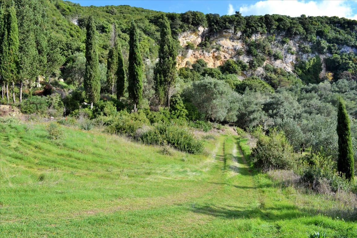 Земля на Корфу, Греция, 15 000 м² - фото 11