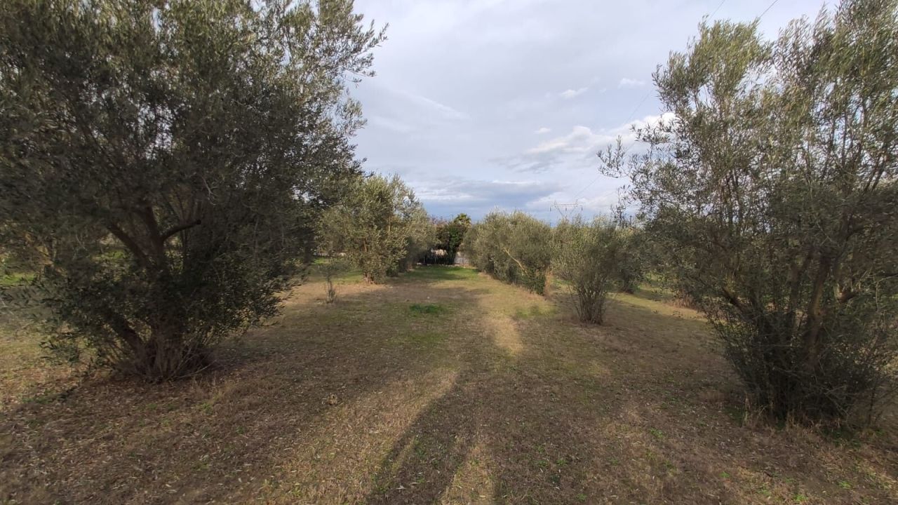 Дом в Олимпиаки-Акти, Греция, 156 м² - фото 11