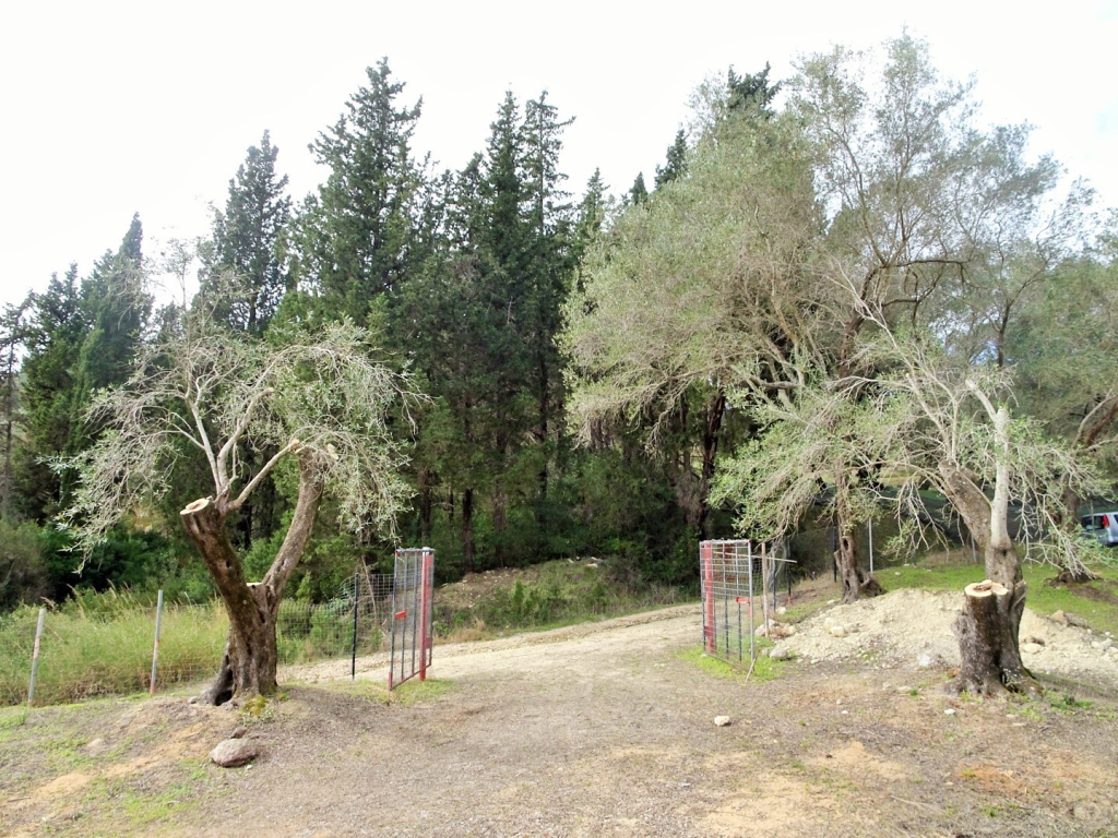 Дом на Корфу, Греция, 240 м² - фото 11