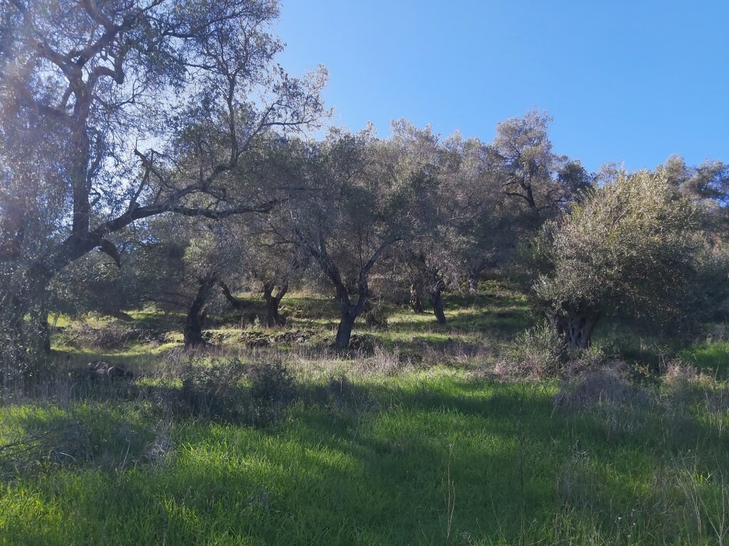 Земля на Корфу, Греция, 44 872 м² - фото 11