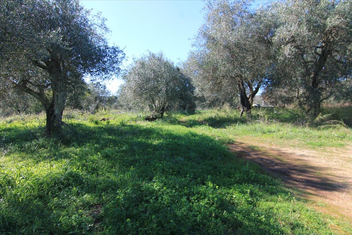 Земля на Корфу, Греция, 4 131 м² - фото 11