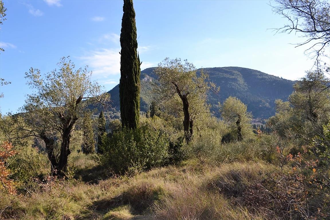 Земля на Корфу, Греция, 8 000 м² - фото 11