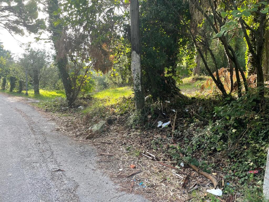 Земля на Корфу, Греция, 3 321 м² - фото 11