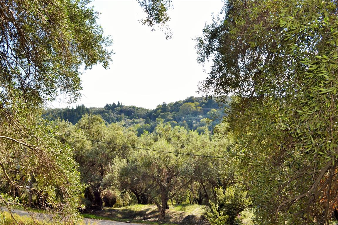 Земля на Корфу, Греция, 14 530 м² - фото 11