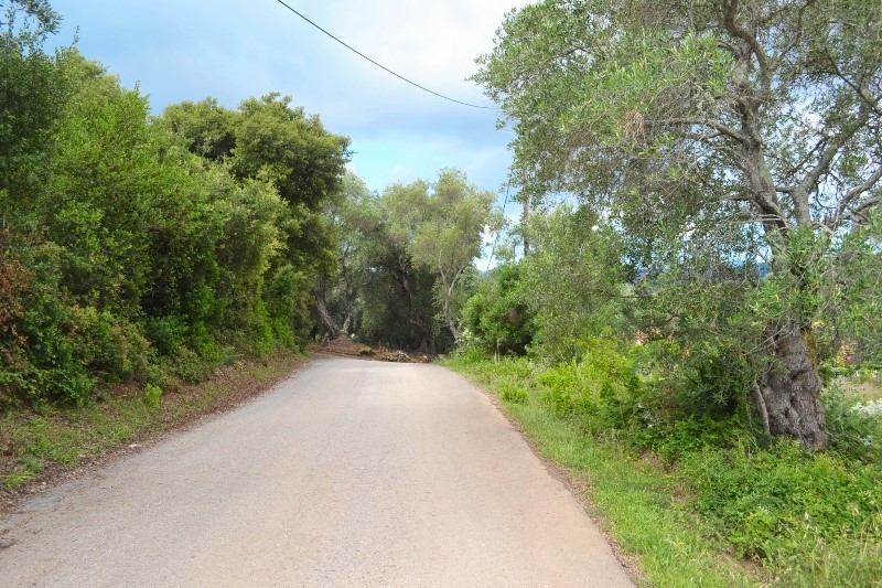 Земля на Корфу, Греция, 5 500 м² - фото 11