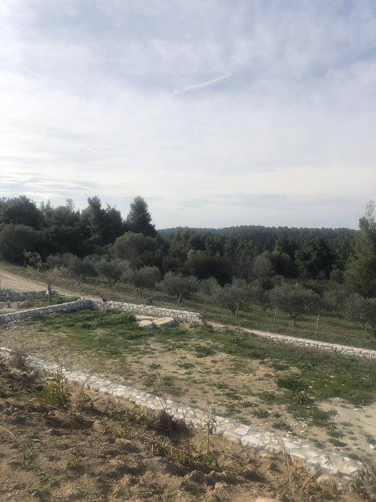 Вилла на Кассандре, Греция, 220 м² - фото 11