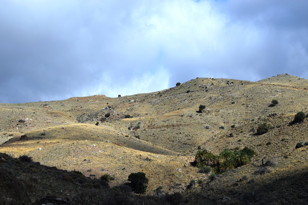 Земля в Ираклионе, Греция, 43 000 м² - фото 11