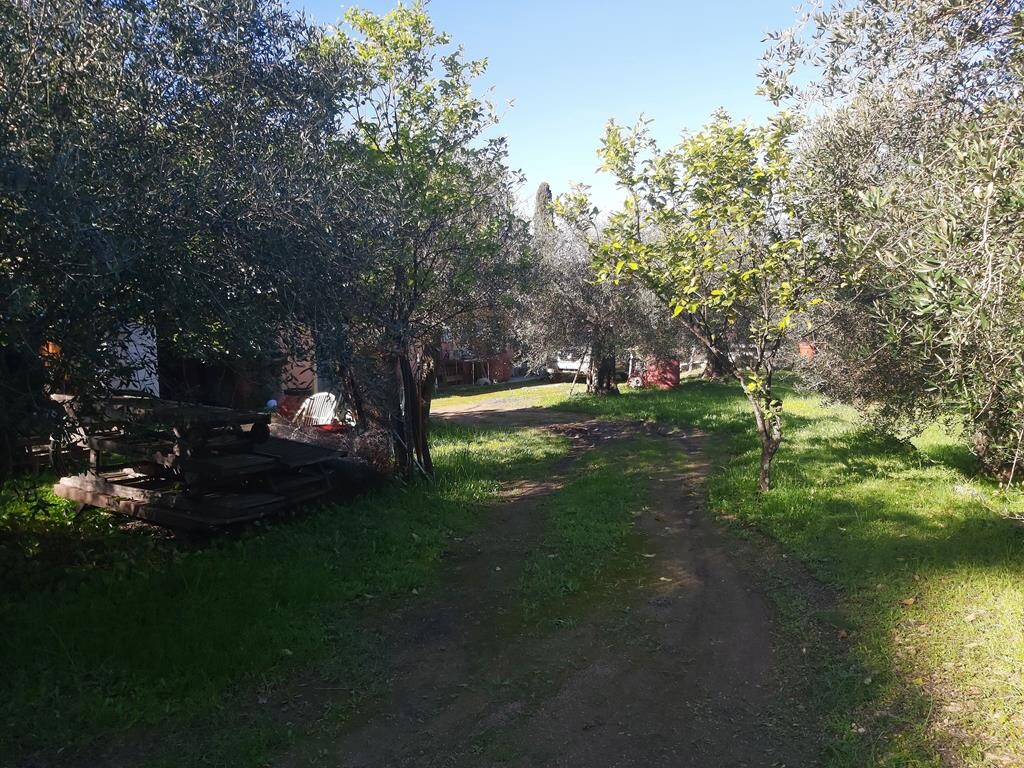 Земля на Корфу, Греция, 7 000 м² - фото 11