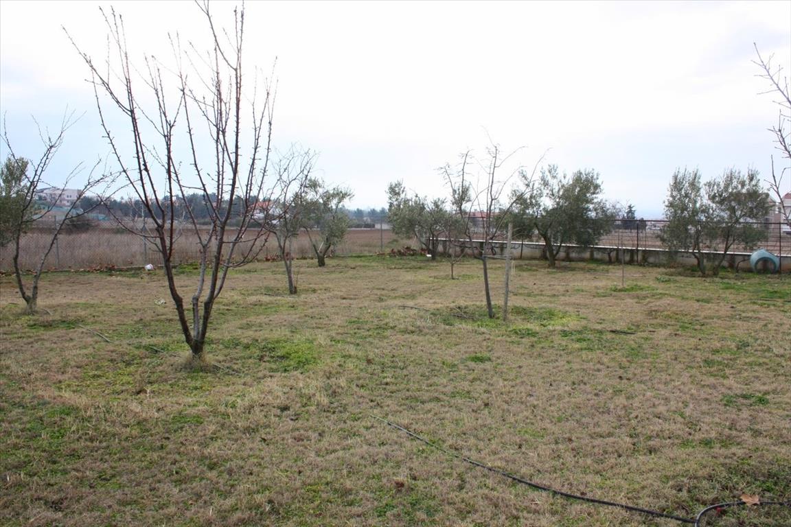 Дом в Салониках, Греция, 270 м² - фото 11