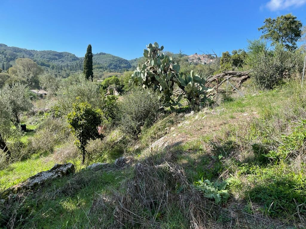 Земля на Корфу, Греция, 5 500 м² - фото 11