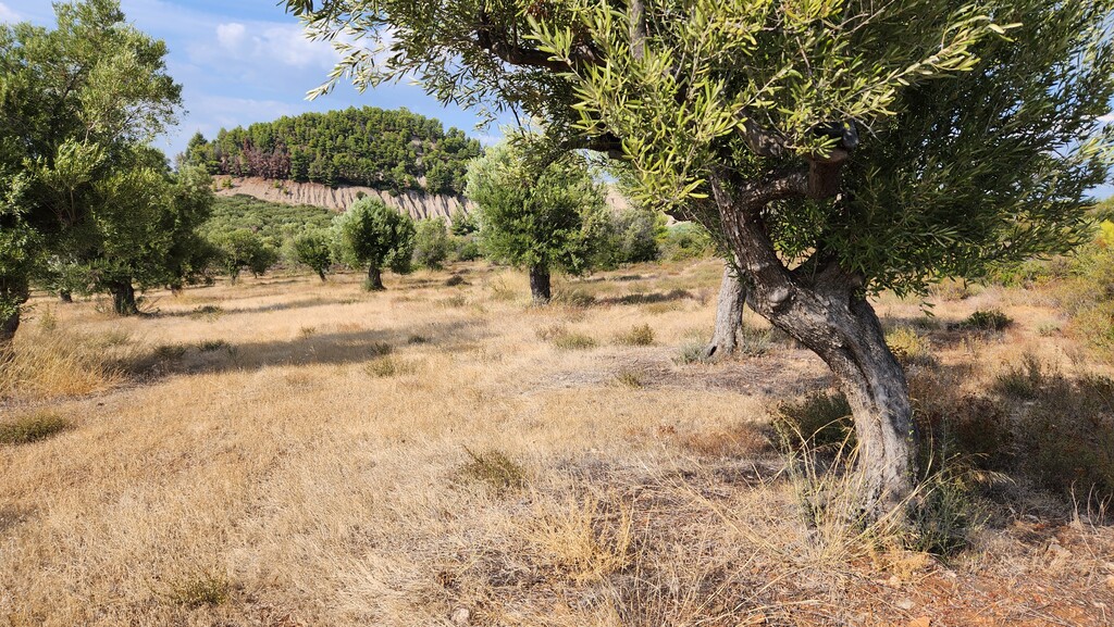 Земля в Ситонии, Греция, 37 500 м² - фото 11