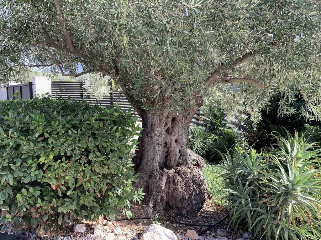 Дом в Лутраки, Греция, 340 м² - фото 11