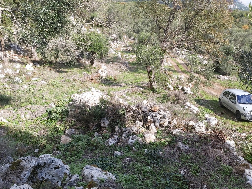 Земля на Корфу, Греция, 9 500 м² - фото 11