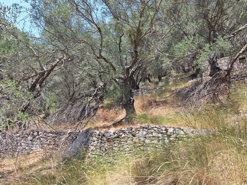 Земля на Корфу, Греция, 6 000 м² - фото 11