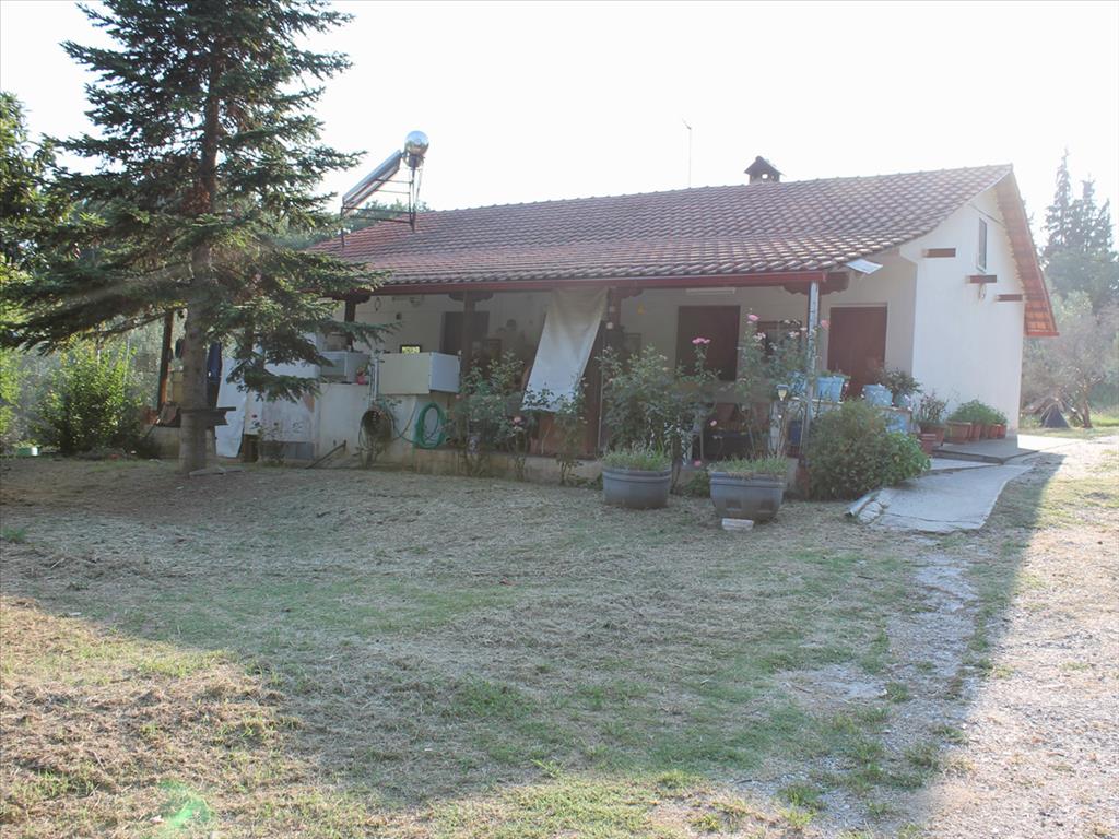 Дом в Олимпиаки-Акти, Греция, 70 м² - фото 11