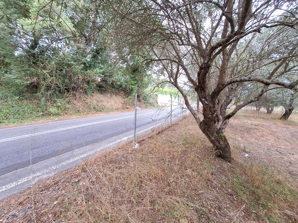 Земля на Корфу, Греция, 5 500 м² - фото 11