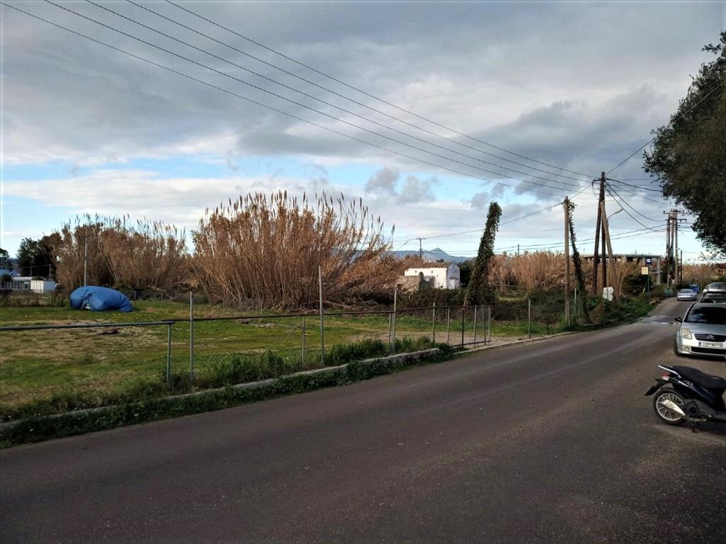 Земля на Корфу, Греция, 4 400 м² - фото 11