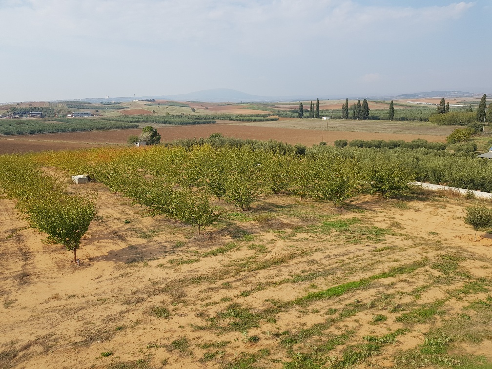 Дом на Халкидиках, Греция, 400 м² - фото 11