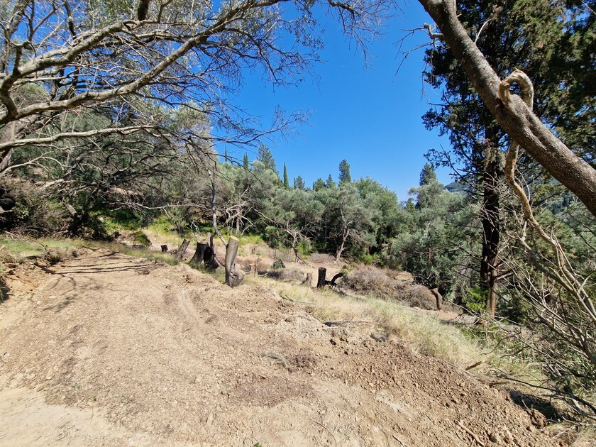 Земля на Корфу, Греция, 8 500 м² - фото 11