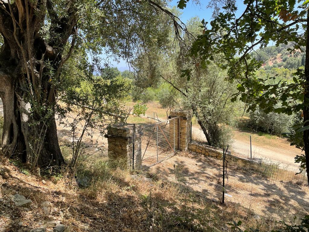 Земля на Корфу, Греция, 26 159 м² - фото 11