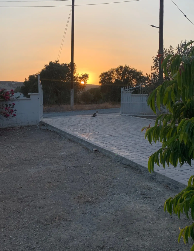 Дом в Мони, Кипр, 170 м² - фото 4