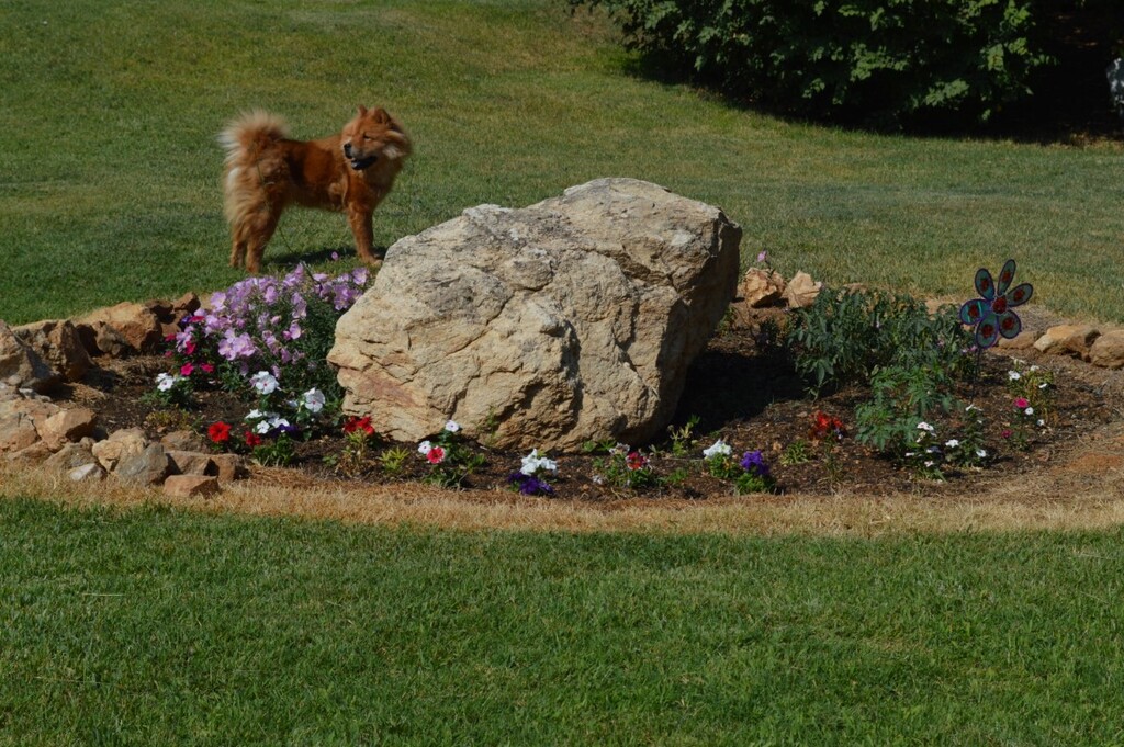 Дом в Салониках, Греция, 210 м² - фото 11