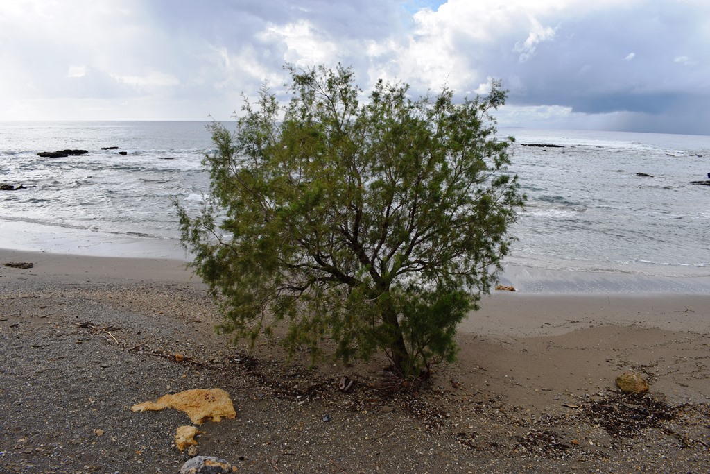 Земля в Ираклионе, Греция, 4 089 м² - фото 11