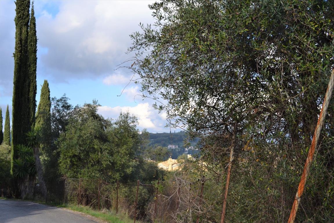 Земля на Корфу, Греция, 5 500 м² - фото 11