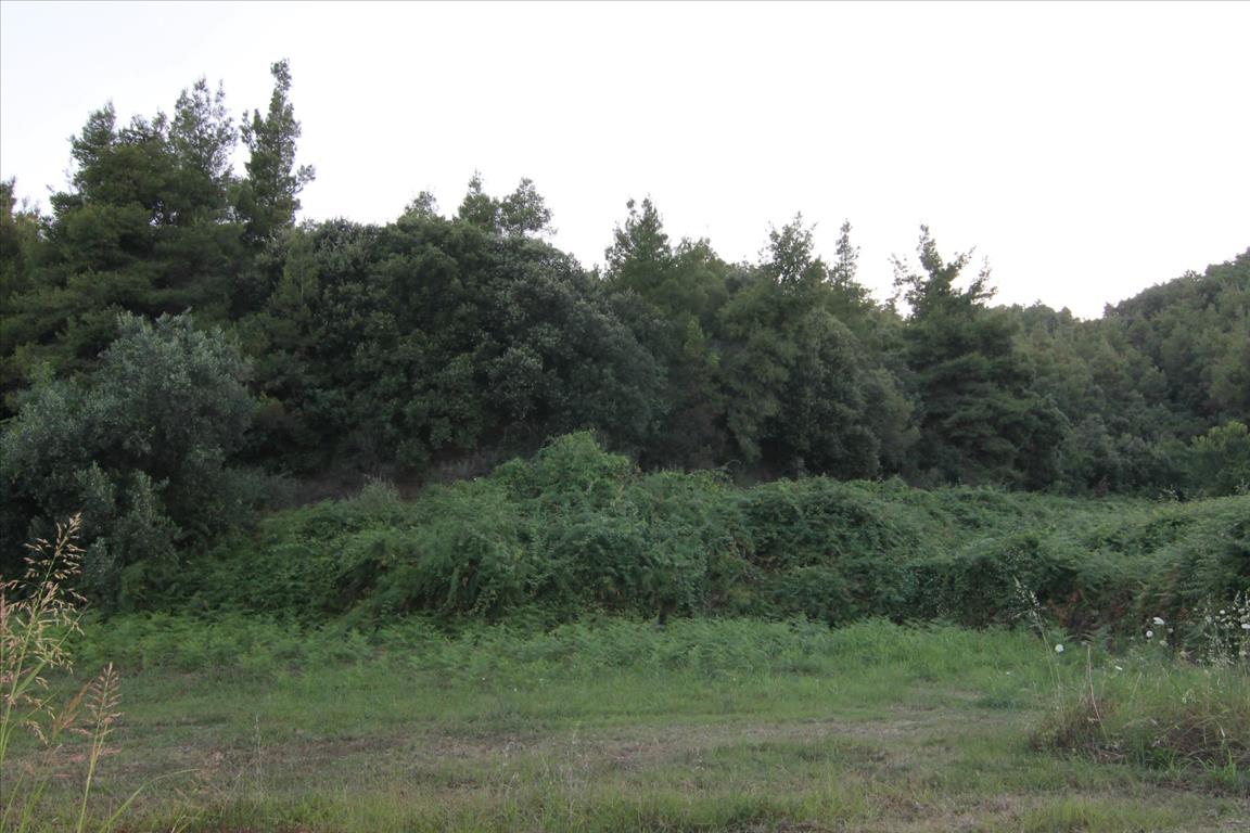 Дом на Халкидиках, Греция, 210 м² - фото 11