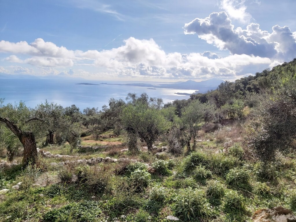 Земля на Корфу, Греция, 9 500 м² - фото 12