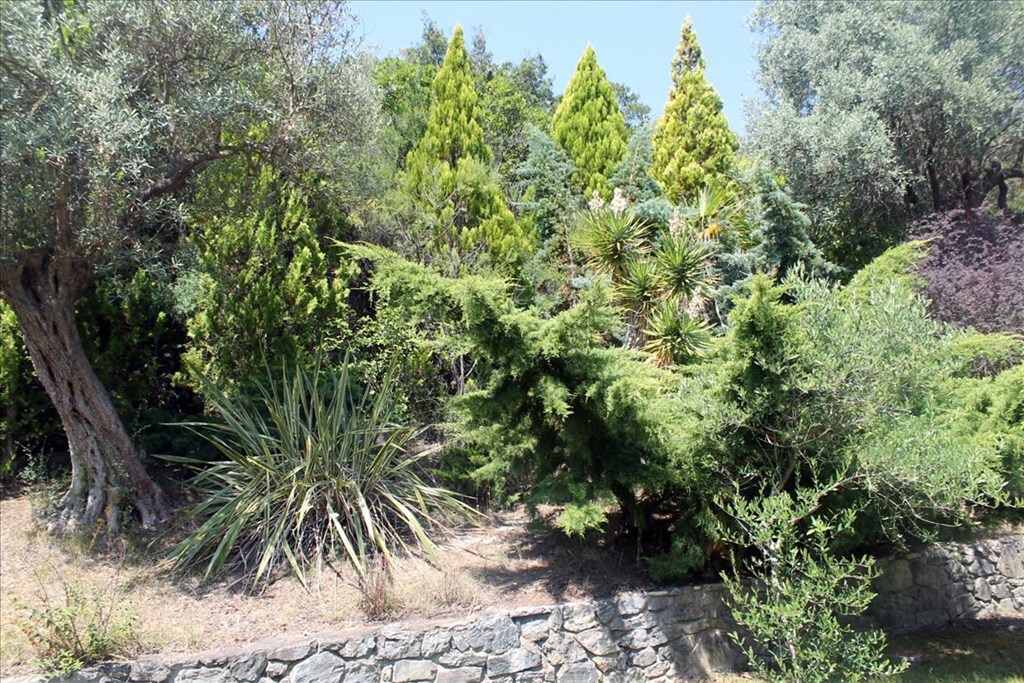 Вилла на Халкидиках, Греция, 220 м² - фото 12