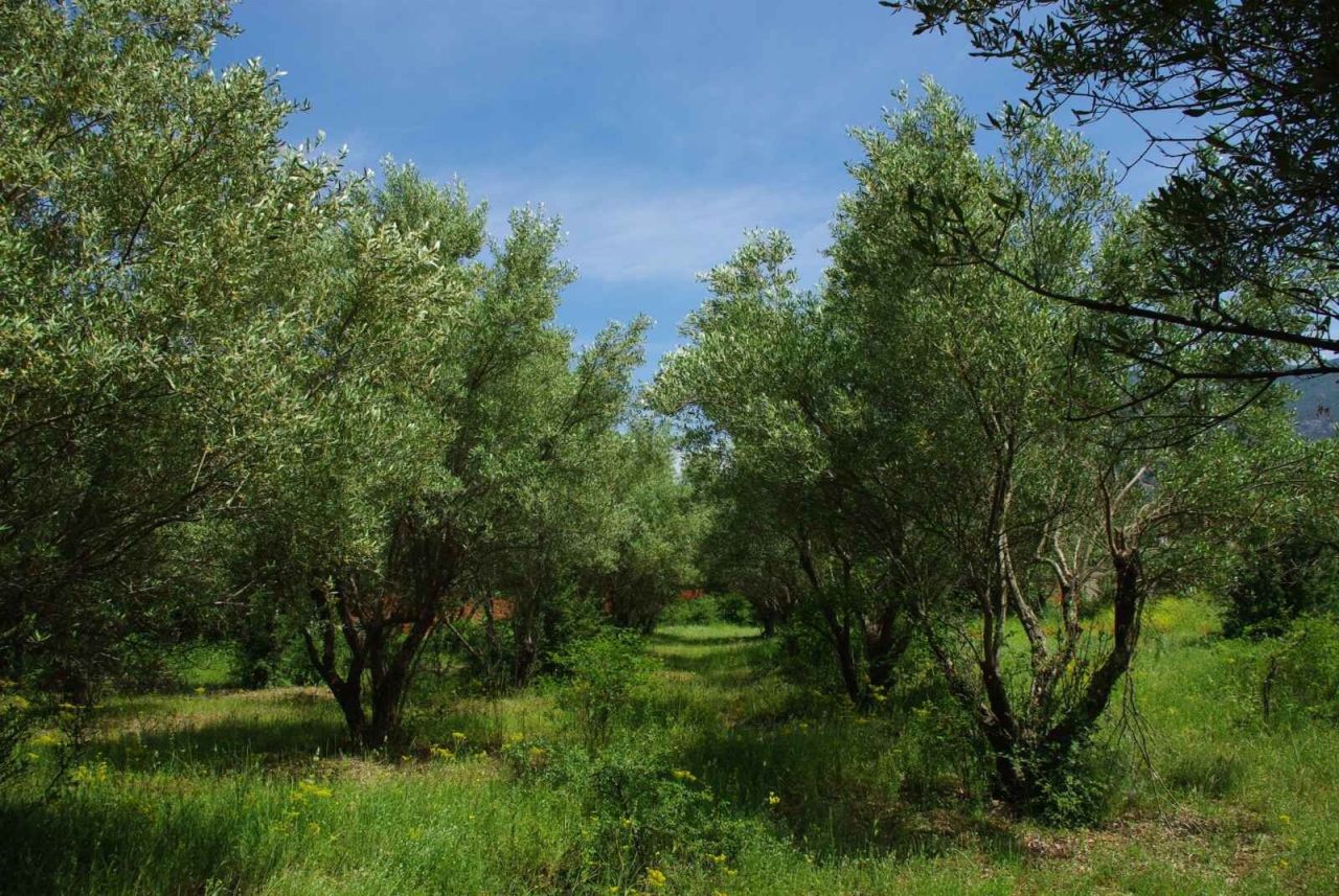 Дом в Салониках, Греция, 200 м² - фото 12