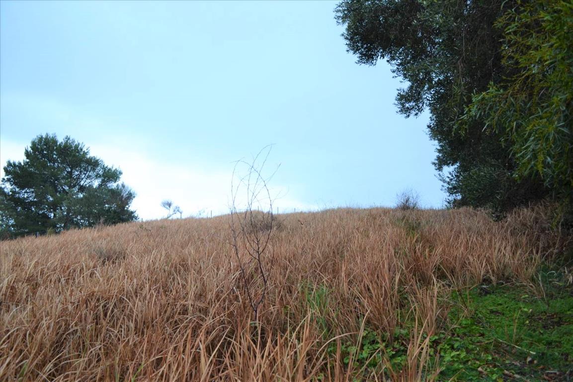 Земля на Корфу, Греция, 2 522 м² - фото 12