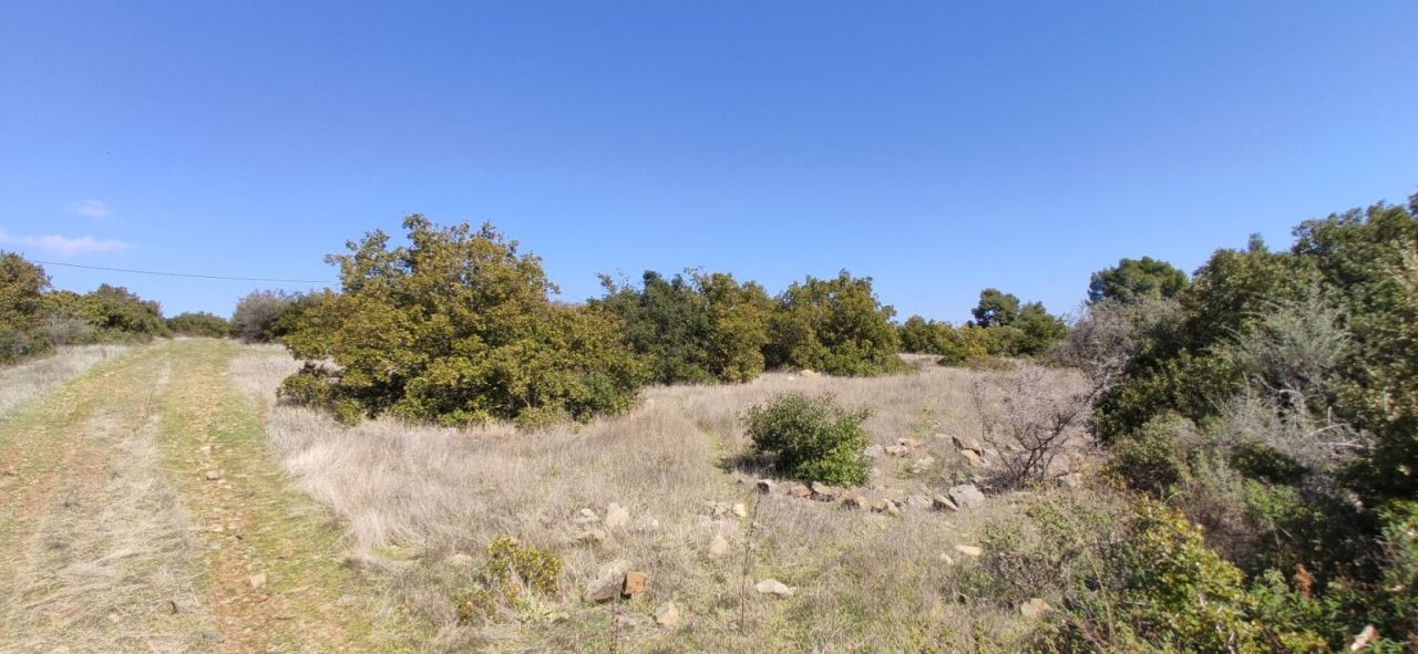 Земля в Ситонии, Греция, 4 170 м² - фото 12