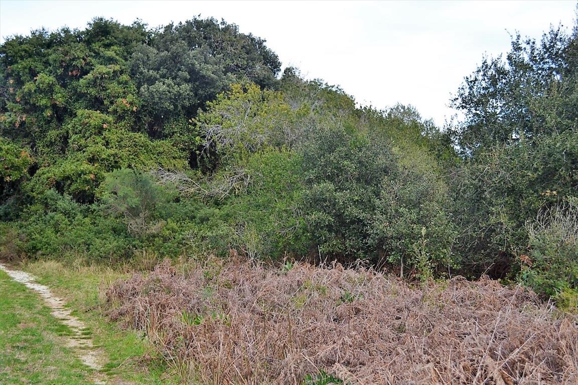 Земля на Корфу, Греция, 5 500 м² - фото 12