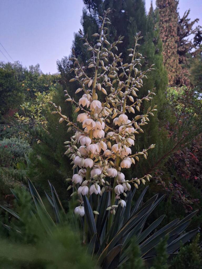 Дом в Аттике, Греция, 275 м² - фото 12