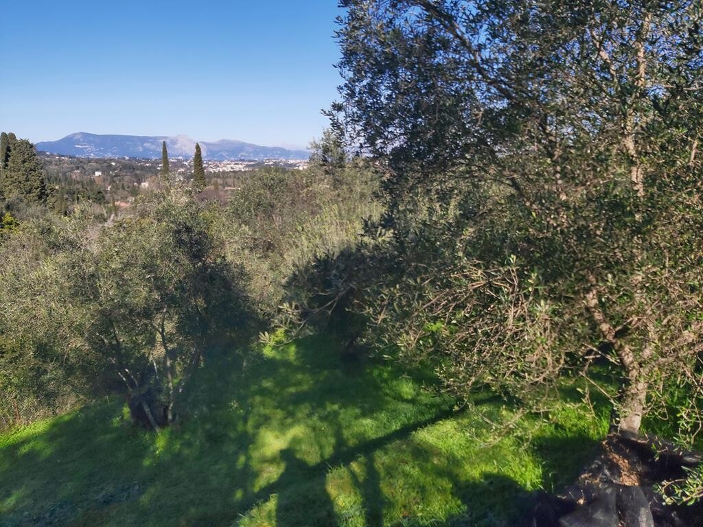 Земля на Корфу, Греция, 7 000 м² - фото 12