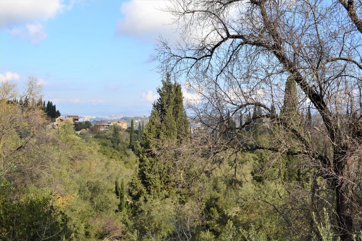 Земля на Корфу, Греция, 5 500 м² - фото 12