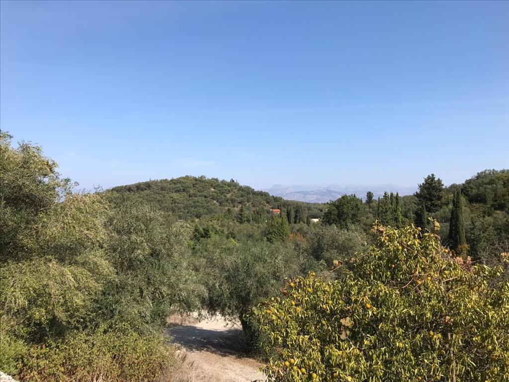 Земля на Корфу, Греция, 4 000 м² - фото 12