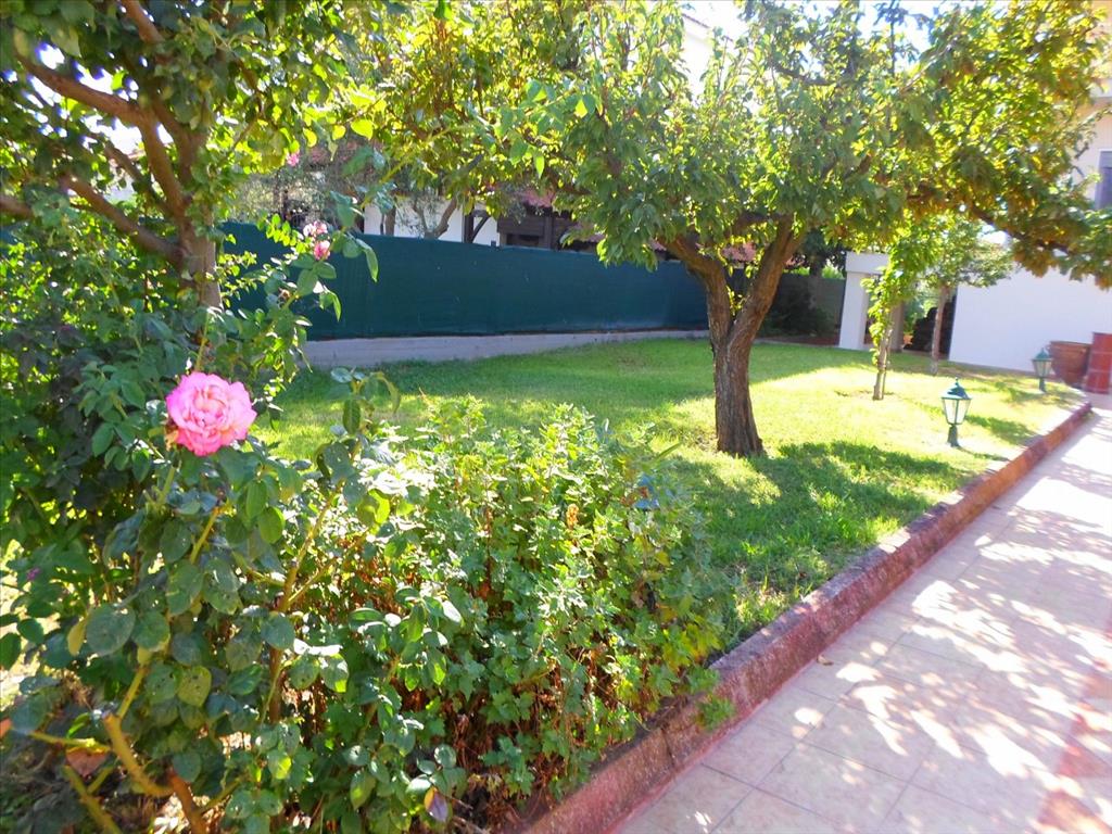 Дом в Салониках, Греция, 350 м² - фото 12