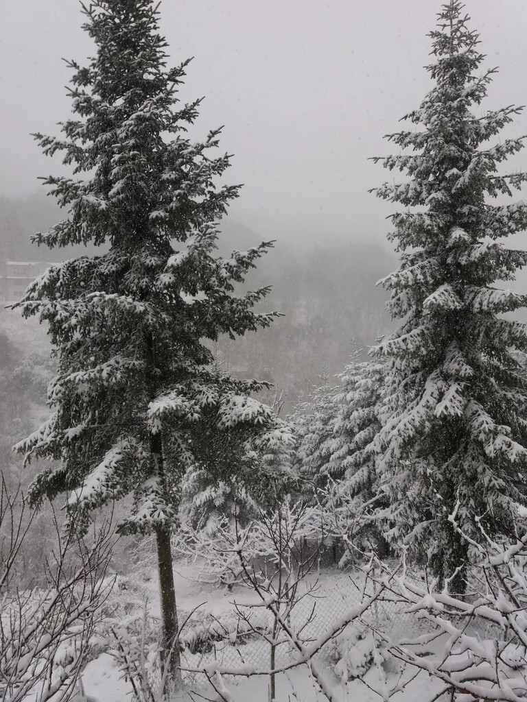 Дом на Халкидиках, Греция, 140 м² - фото 12