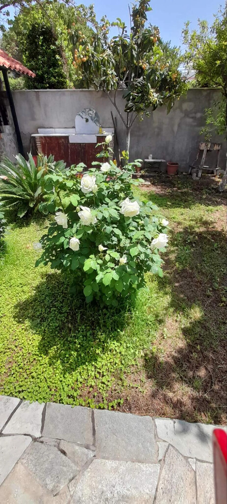 Дом в Аттике, Греция, 130 м² - фото 12