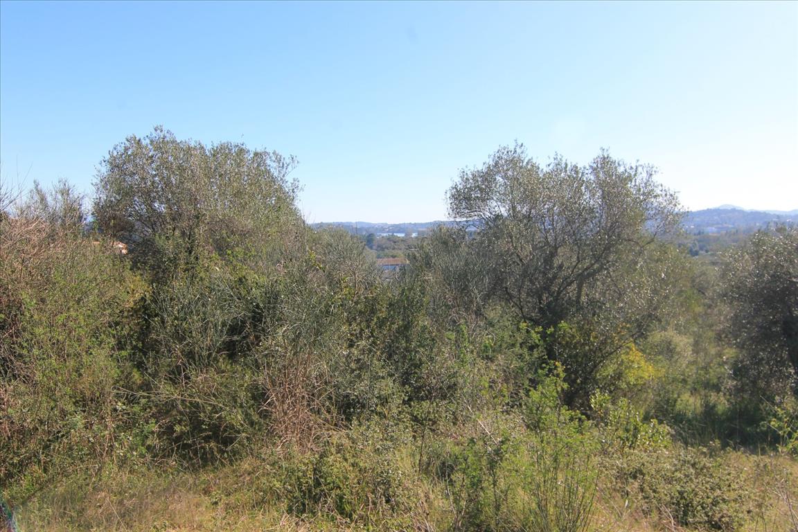 Земля на Корфу, Греция, 4 131 м² - фото 12